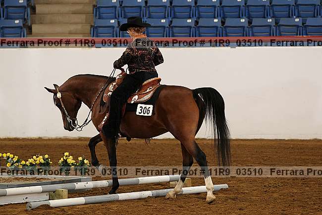 Proof 11r9_03510