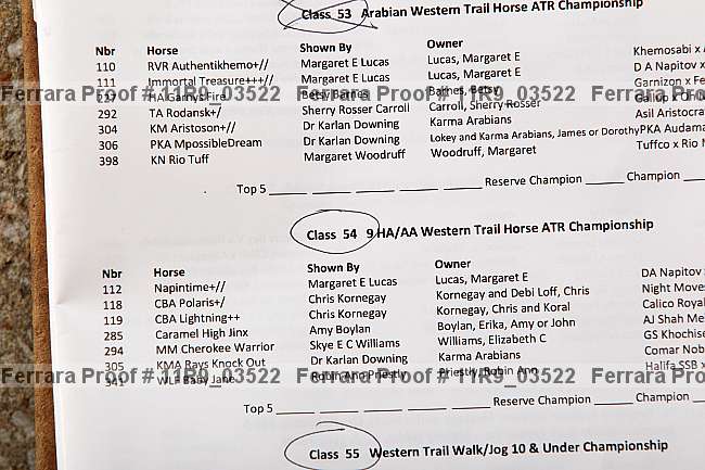 Proof 11r9_03522