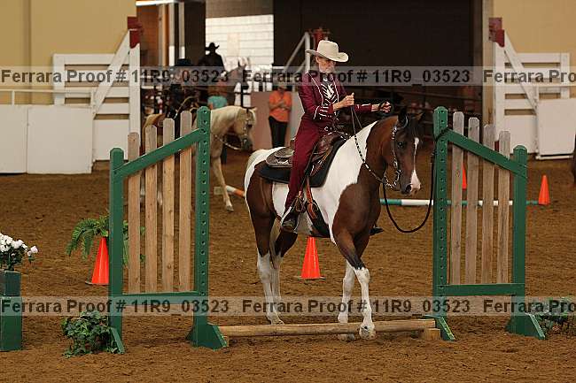 Proof 11r9_03523
