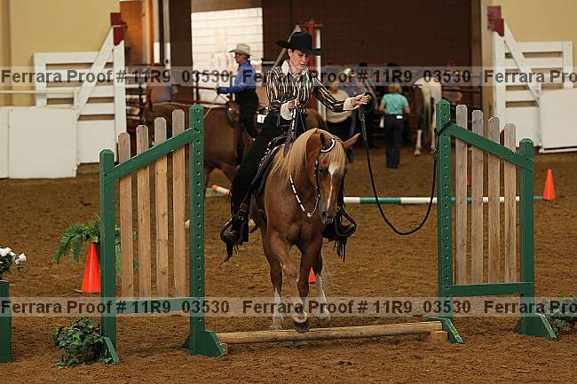 Proof 11r9_03530