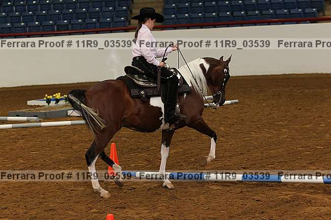 Proof 11r9_03539