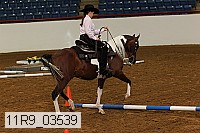 11r9_03539 proof