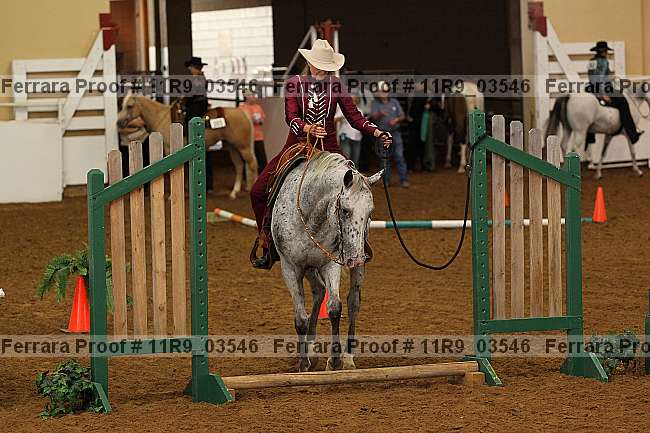 Proof 11r9_03546