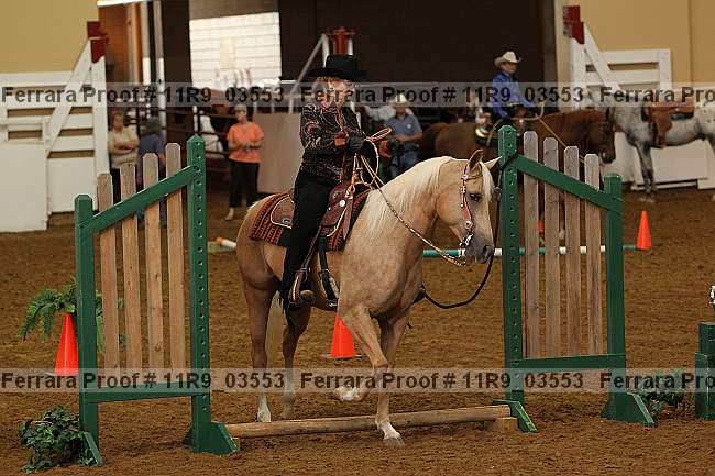Proof 11r9_03553