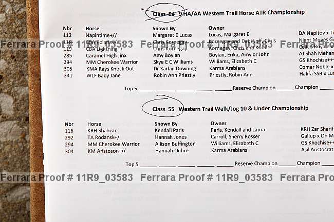 Proof 11r9_03583