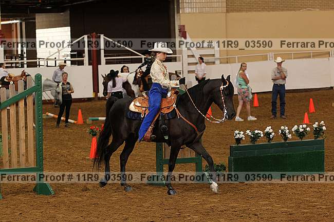 Proof 11r9_03590