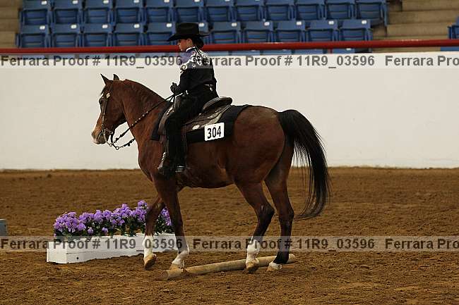 Proof 11r9_03596