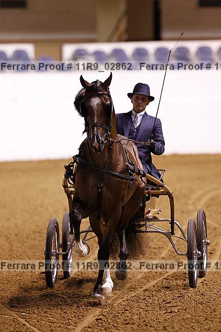 Proof 11r9_02862