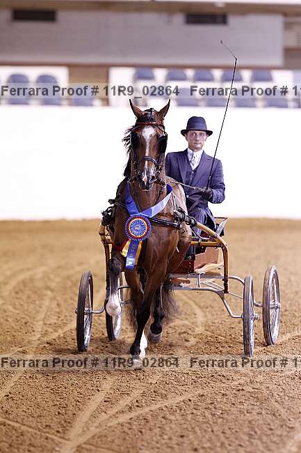Proof 11r9_02864