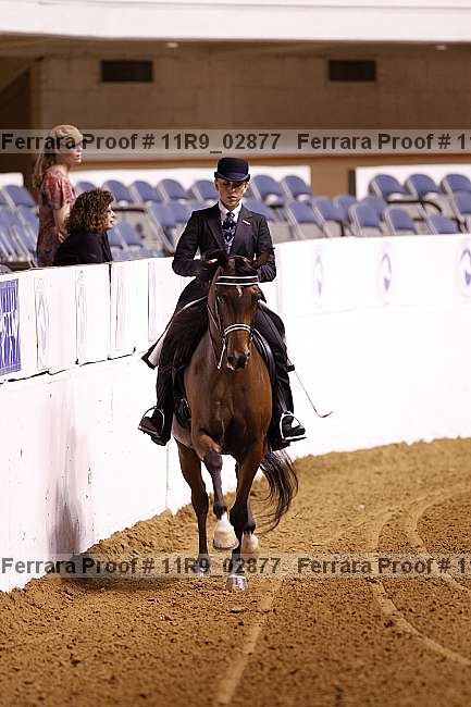 Proof 11r9_02877