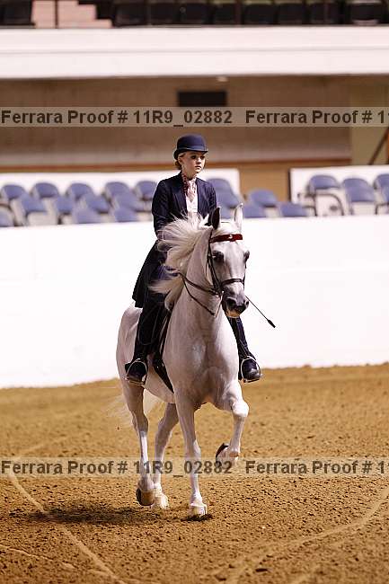 Proof 11r9_02882