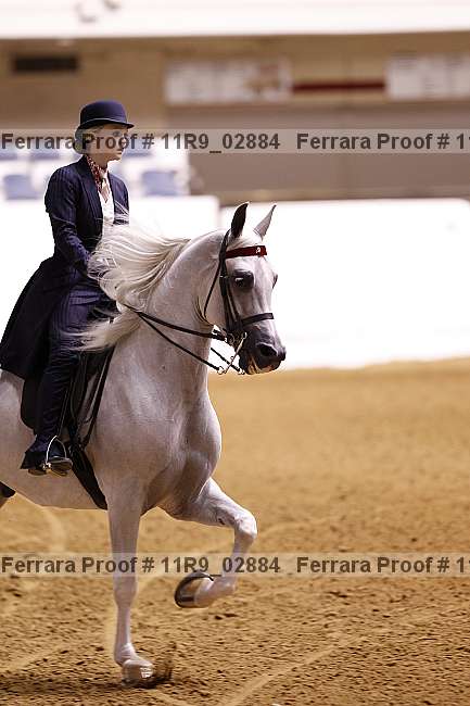Proof 11r9_02884