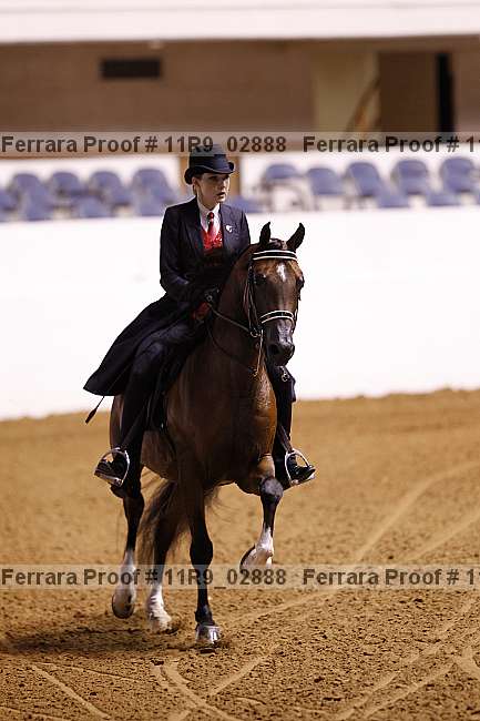 Proof 11r9_02888