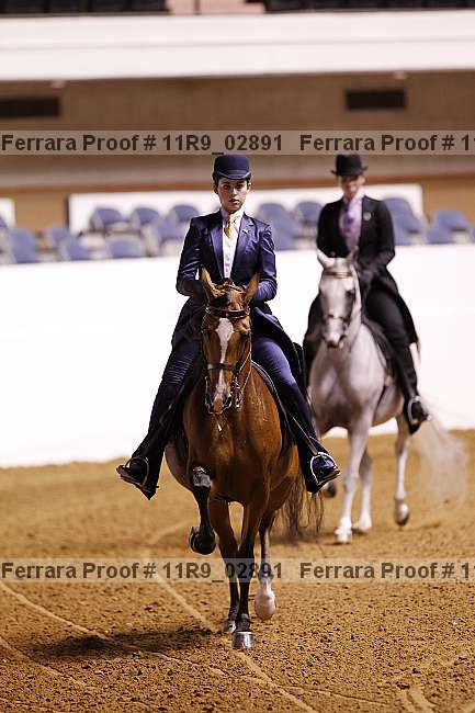 Proof 11r9_02891