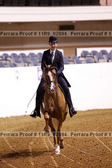 Proof 11r9_02894