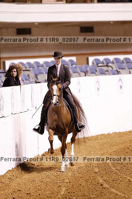 Proof 11r9_02897