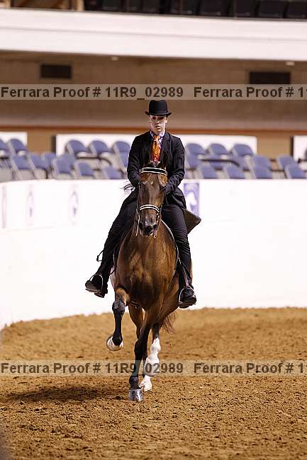 Proof 11r9_02989