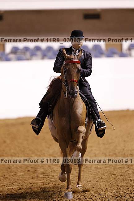 Proof 11r9_03003