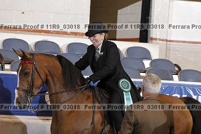 Proof 11r9_03018