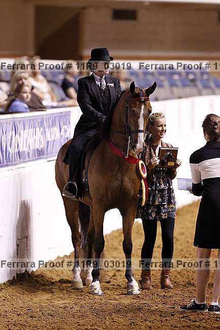 Proof 11r9_03019