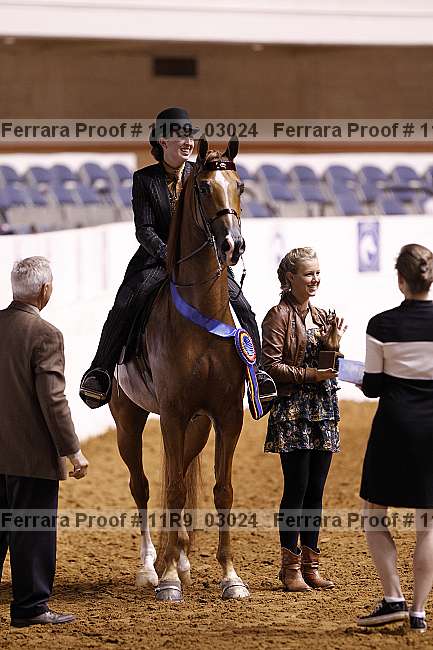 Proof 11r9_03024