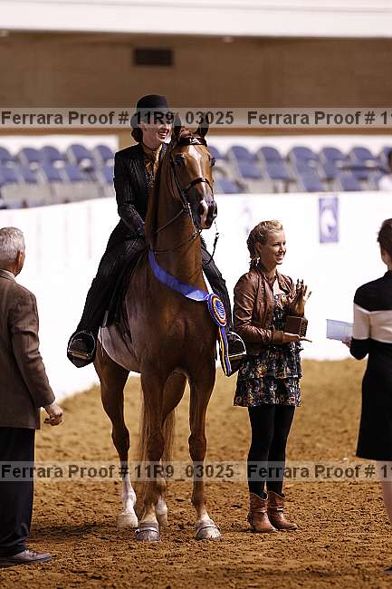 Proof 11r9_03025