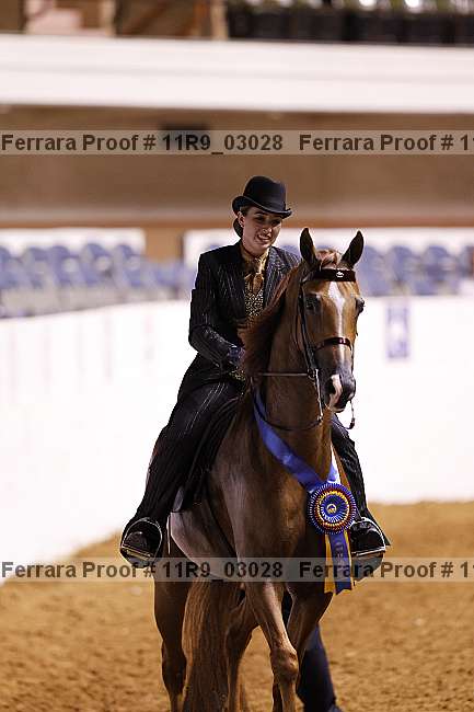Proof 11r9_03028