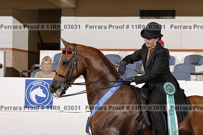 Proof 11r9_03031