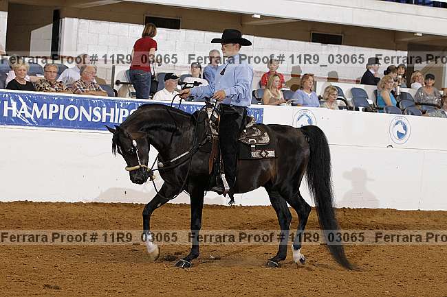Proof 11r9_03065
