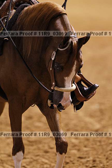 Proof 11r9_03069
