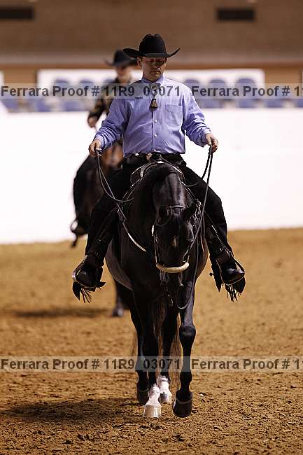 Proof 11r9_03071
