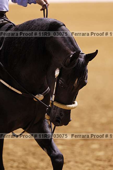 Proof 11r9_03075