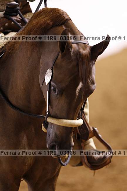 Proof 11r9_03086