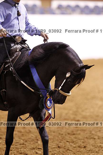 Proof 11r9_03092