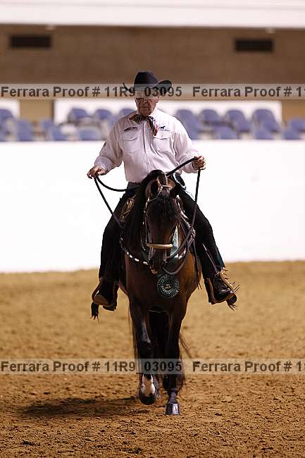 Proof 11r9_03095
