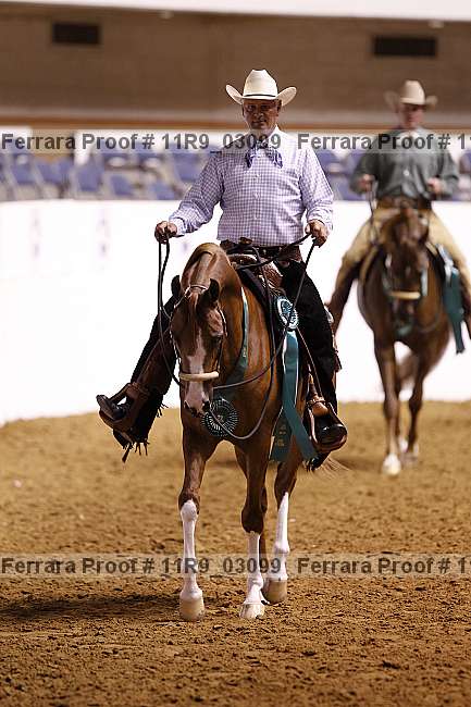 Proof 11r9_03099