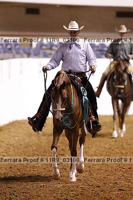 Proof 11r9_03100