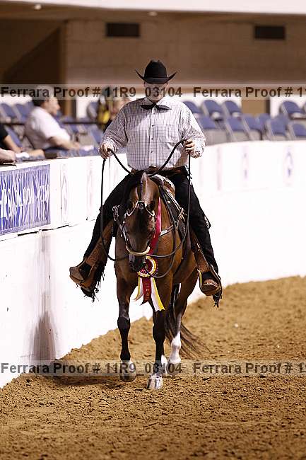 Proof 11r9_03104