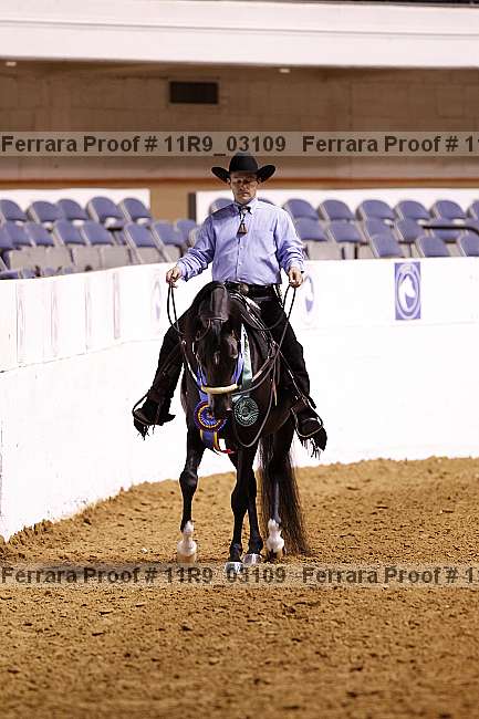 Proof 11r9_03109