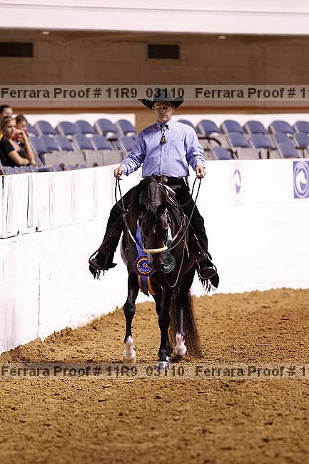 Proof 11r9_03110