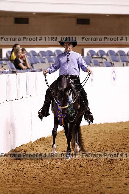 Proof 11r9_03111