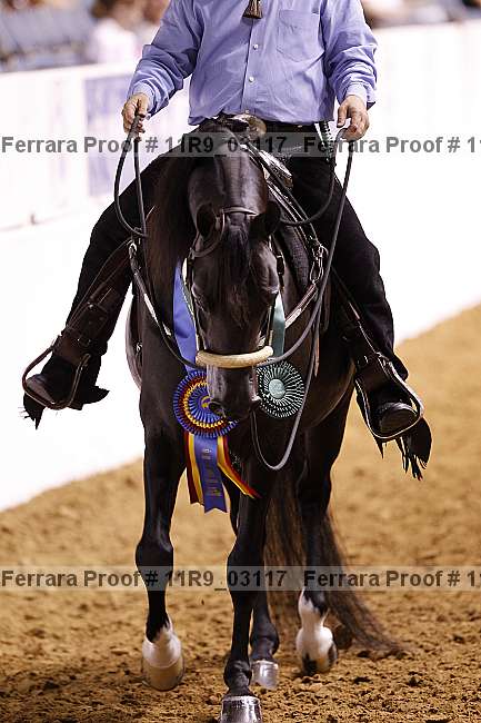 Proof 11r9_03117