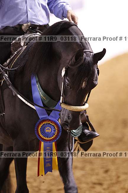 Proof 11r9_03118
