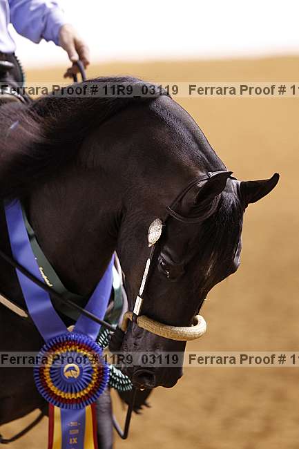Proof 11r9_03119
