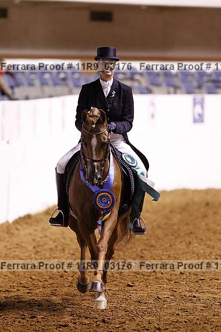 Proof 11r9_03176