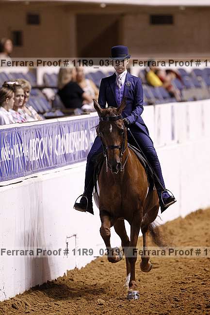 Proof 11r9_03191