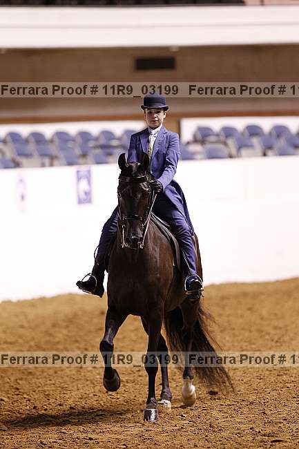 Proof 11r9_03199