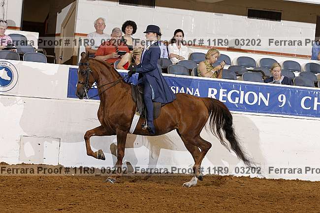Proof 11r9_03202