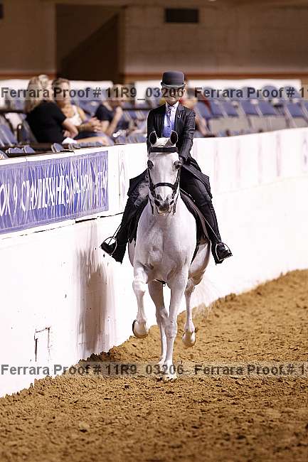 Proof 11r9_03206