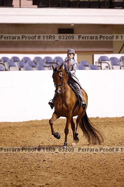Proof 11r9_03209
